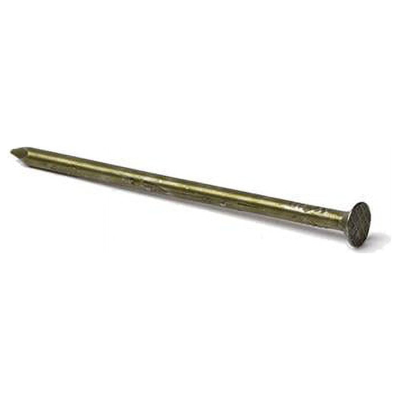 2.375 in. 8D Sinker Vinyl Steel Round Head Nail - 30 lbs