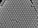 Alpha Nanotech Colloidal Polystyrene Beads (Non-Functionalized, 400 nm, 50 mg/ml)