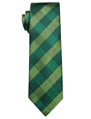 Image of YourTies Men's Neckties Striped Tie and Plaid Neckties for Men Woven Silk Tie Gold Tie Clip Set