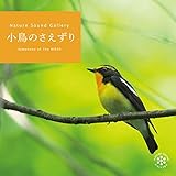 小鳥のさえずり ヒーリング CD BGM 音楽 癒し ミュージック カッコウ ウグイス ホトトギス エナガ 自然音 朝 目覚まし 森 高原 野鳥 ギフト プレゼント イージーリスニング 朝に聴きたい音楽