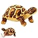 Owddddtnxc Turtle Stuffed Animal, 12 Inch Realistic Cute Turtle Plush, Ultra Soft Skin-Friendly Lifelike Sea Life Toys Good for Kids Birthday, Brown