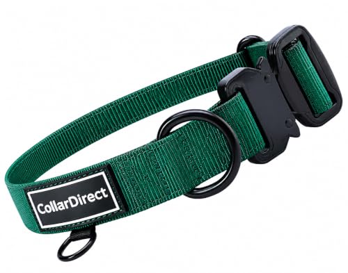 Image of Heavy Duty Waterproof Dog Collar, Double-Layered Nylon (Green, 11-15) | Adjustable heavy-duty collar for medium /large dogs; rugged double-layered nylon built to handle active, daily wear and tear