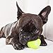 Big Game Hunters Hunde-Tennisball, doppelt stark, unzerstörbar, ideal für Aggressive Kauer, 20 Stück