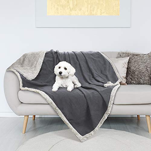 Catalonia Classy Coperta impermeabile dell'animale...