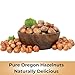 Raw Oregon Hazelnuts, Natural Raw Hazelnuts, Kosher Certified in Resealable Bag 1 Lb