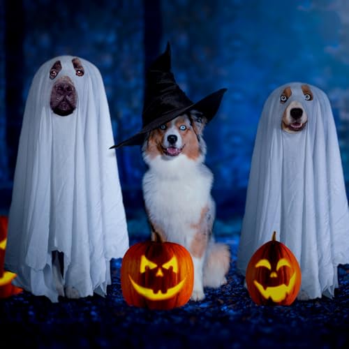 Disfraz de Fantasma para Perro y Gato miniatura 6