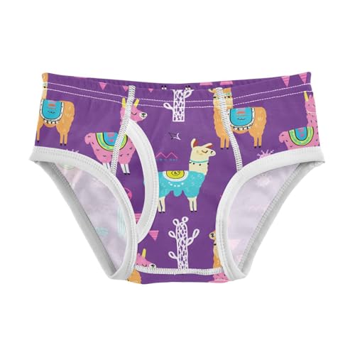 Colorful Llamas Cacti Purple Toddler Boy's Underwear 2T 202c1223