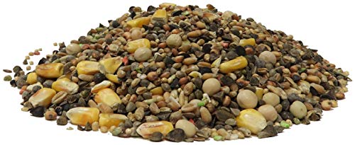 AIME Nourriture pour Tourterelles et Colombes, Nutri'Balance Expert, Menu expert pour Tourterelles, Sac de 1 Kg – Image 3