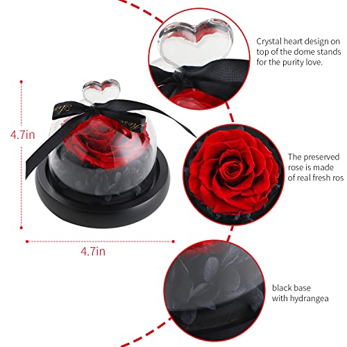 Sw Rose Flower Birthday Gifts For Women Forever Preserved Real Rose In Glass Dome Gift Flower,Women Gifts Eternal Heart Design Gift For Her Valentines Day Mothers Day Christmas Anniversary Birthday #TOP5