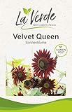 La Verde MEIN GARTEN UND ICH. Velvet Queen Sonnenblumen Samen für ca. 50 Pflanzen, Blumensamen verzweigend in dunklen Rottönen, Saatgut ohne Gentechnik