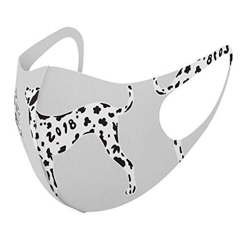 [X}R] fUC }XN QZbg |GXe 􂦂 z}XN jp 015609 _VA VN 