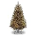 National Tree 4.5 Foot North Valley Spruce Tree with 200 Clear Lights, Hinged (NRV7-300-45)