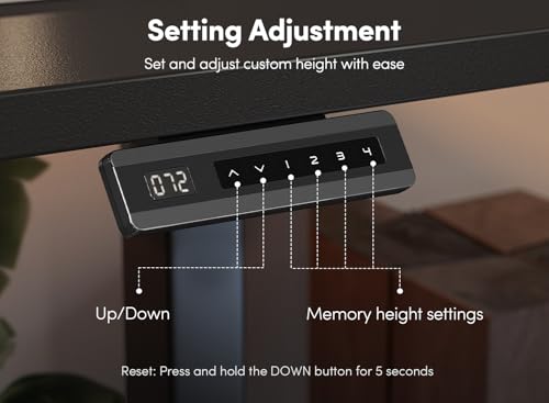 FEZIBO 40 x 24 Inch Height Adjustable Electric Standing Desk with Double Drawer, Computer Desk, Home Office Stand Up Table with 4 Height-Adjustable Feets & 2 Hooks, Black