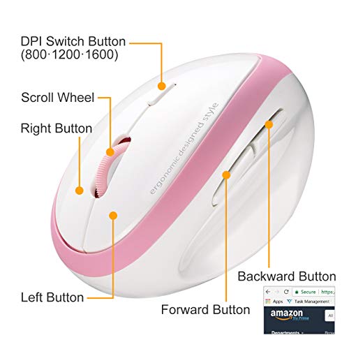 Sanwa 2.4G Wireless Ergonomic Mouse, Optical Vertical Mice, For Small Hands, Reduce Wrist Strain, (800/1200/1600 Adjustable Dpi, 6 Buttons) Compatible With Macbook, Laptop, Windows, Mac Os, Gmaergw17P #TOP3