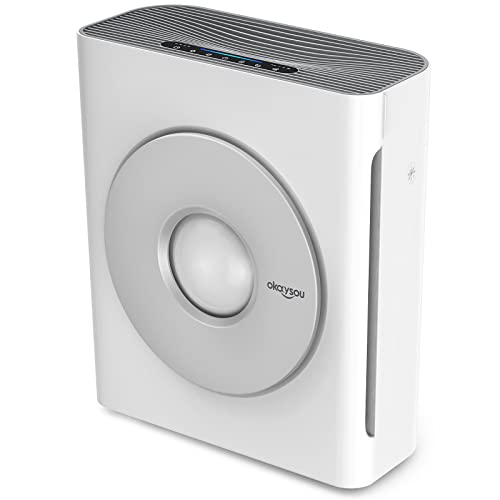 Okaysou Smart Air Purifiers