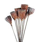 NWFashion NWFashion 10PCS 3-5CM Natural Dried Lotus Pods Stick Stems