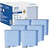6 Count (Pack of 1)