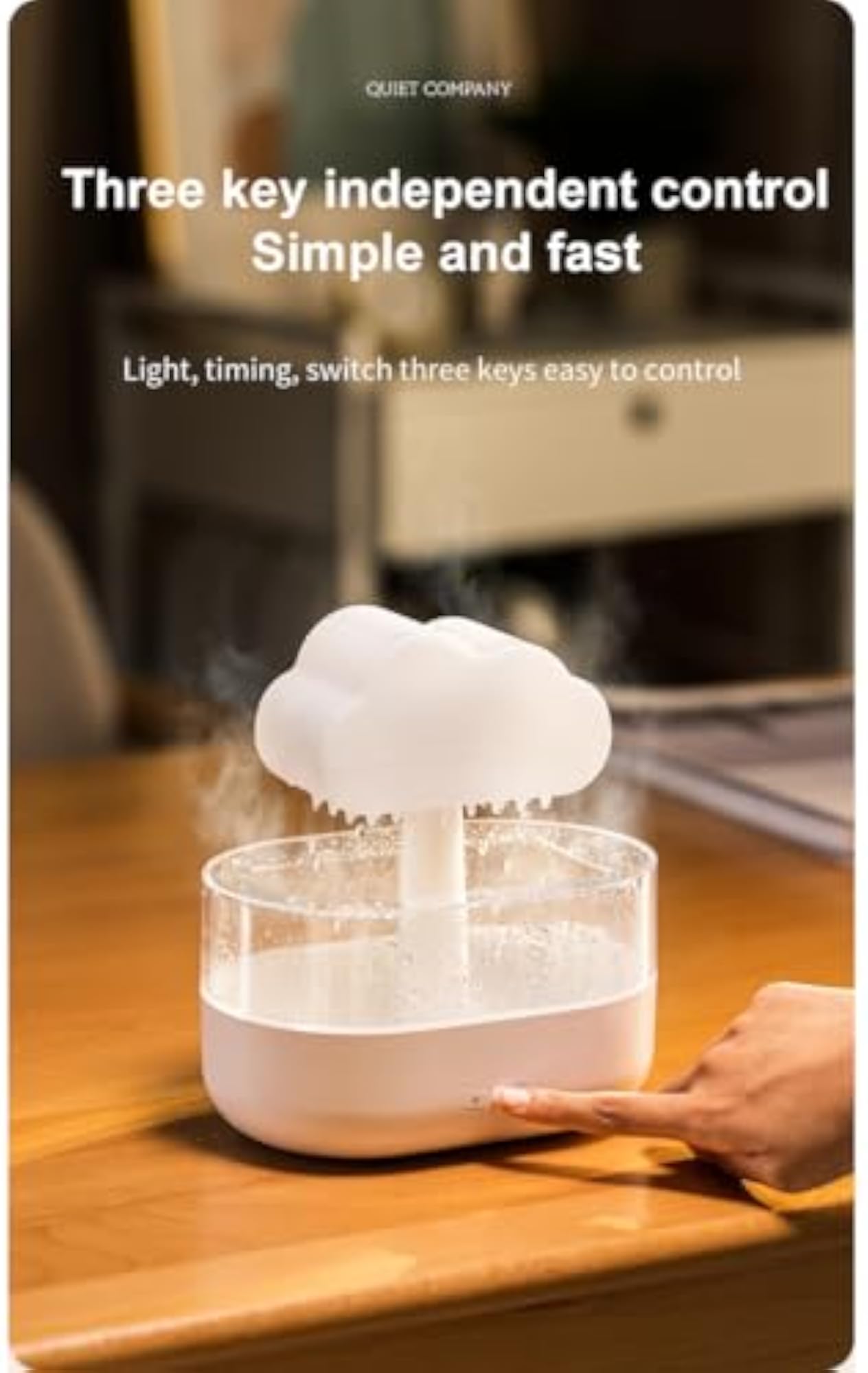 Rain Cloud Humidifier with LED Night Light