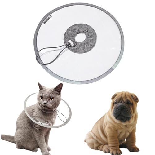 LifetipsV[yC V[yCLp GUxXJ[ h \tg y pPA ی Ȃߖh~ p EȒP 􂦂 PAJ[(NAj(Lj