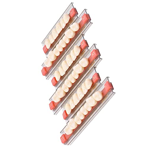 WECANDO 84 Pcs Dental Synthetic Resin Tooth Denture 3 Sets False Teeth for Halloween Horror Teeth 23 A3 - Thumbnail 4