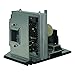 Toshiba TDP-TW420U Projector Assembly with Original Bulb Inside
