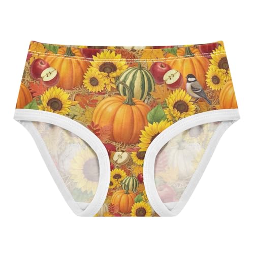 Girls Briefs, Autumn Pumpkins Sunflowers Toddler Panties, Girls' Cotton Brief Underwear, 2T–8 Years