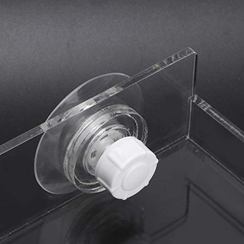 Hffheer Staffa di Allevamento per abbellimento di