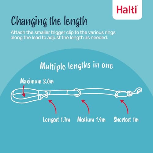 Halti Kopfhalsband und Trainingsleine Kombi-Pack, stoppt das Ziehen des Hundes auf Spaziergängen, beinhaltet Kopfhalsband Größe 3 und doppelendige Leine, schwarz