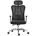 Hbada Bürostuhl Ergonomischer Netzstuhl, Drehstuhl mit Verstellbarer Rückenlehne, Lordosenstütze und Kopfstütze, Schreibtischstuhl, Arbeitsstuhl, Schwarz