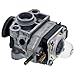 MTD 751-16046-4 Carburetor for Craftsman Troy-Bilt WS4200 WS410 WS405 TBE304