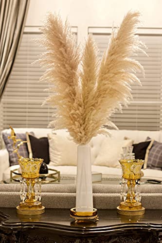 Pampas Grass Decor 3 hastes 122 cm de comprimento – Grama Pampas alta e seca – Plantas grandes de gr