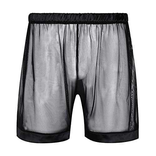 CHICTRY Men's See-Through Mesh Loose Boxer Shorts Underwear Quick Drying Swim Shorts4