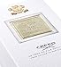 Creed Green Irish Tweed, Men's Luxury Cologne, Aromatic Fougère, Green & Mossy Woods Fragrance, 100ML / 3.3 Fl Oz