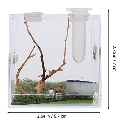 VILLCASE Terrário de Aranha de Criação de Répteis Acrílicos de Aranha Saltadora Com Pinças - para Ta