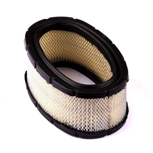 RATION for Briggs & Stratton Filter 393406 -