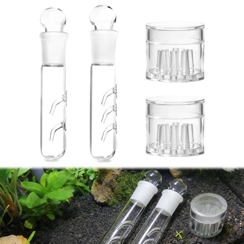 mizikuu 4 Stück Planarienfalle 2 Löcher 3 Loch Klarglas Glas Planaria Trap 8 Löcher Acryl Falle Schneckenfalle Aquarium No Planaria für Fangen von Planarien Schnecken Blutegeln im Aquarium