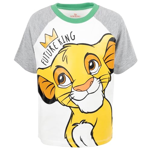 Image of Disney T-Shirt & French Terry Shorts Set Toddler to Big Kid Sizes (2T - 14-16)
