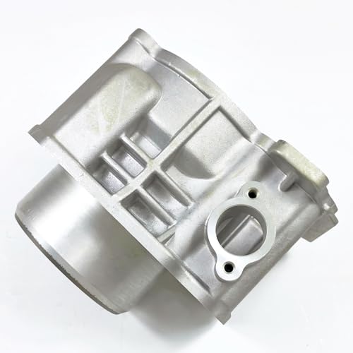 Cylindre de rechange CF 520 pour stopper la perte de puissance - 3