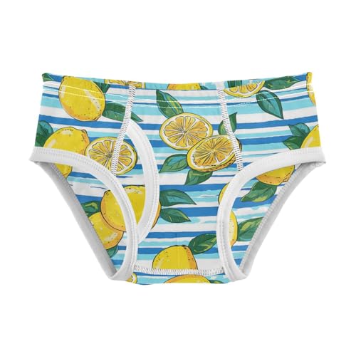 Wusikd Lemons Lemon Slices Boys' Underwear Cotton Blue Stripe Boys Briefs Soft Toddler Underwear 2T