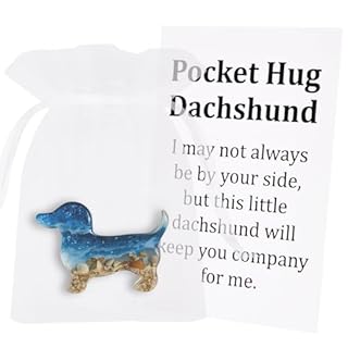 Ruichi Pocket Hug Dachshund, Dachshund Pocket Hug Token with Cards, Dog Pockets Hugs Token, Handmade Dachshund Pocket Hug, Pocket Hug gift for Family and Friends Dog Lovers