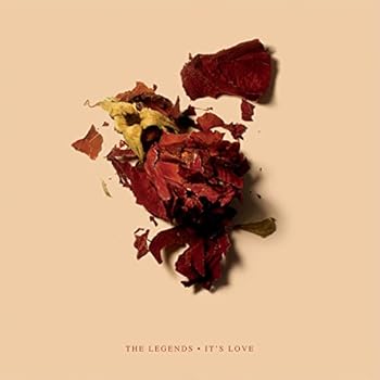 Vinyl It's Love Book