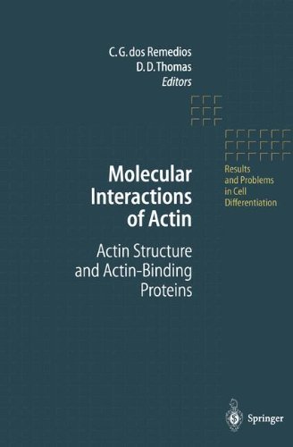 Molecular Interactions of Actin: Actin Structure and Actin-Binding Proteins (Results and Problems in Cell Differentiation Book 32) (English Edition)