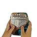 Oceanic Resin Thumb Harp | Create Music in Your Hand | 17 Steel Keys