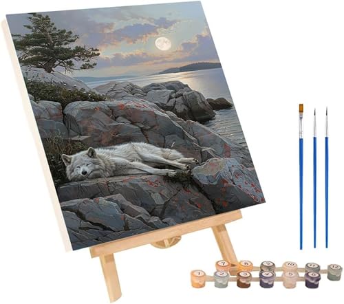 T G DIY Paint by Numbers for Adults  hG Lbg lp SҌA yCgoCio[ l̃Ntg Paint by Numbers z[EH[fR[Vp av[g 100