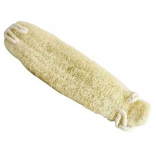 HONMEET V[VRw`}X|W oXp{fBXNo[ w􂢂ɓKV[uV pPA C|ɂg RtŒ݂艺[\