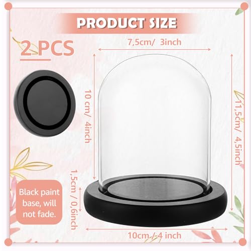 Miniatura 2 de Akolafe 2 Campanas De Cristal Con Base De Madera, Color Negro, 10 Cm De Alto, Cúpula De Cristal, Decoración De 8 Cm De Diámetro, Campana De Cristal, Transparente, Decoración Para Muñecas, Velas