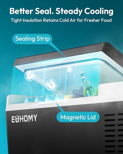 Portable Electric Cooler Warmer Combo