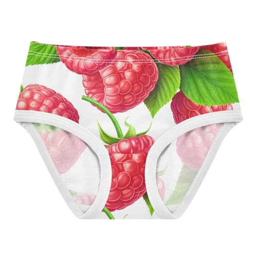 Cotton Toddler Underwear Floral Cute Strawberry Pink Panties Little Girl Artistic Briefs Underpants 2t