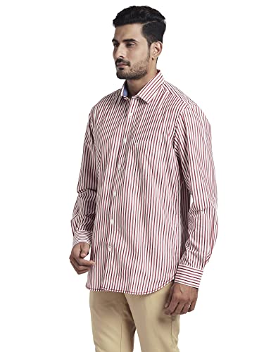 Image of Colorplus Men's Pure Cotton Stripe Pattern Tailored Fit Spread Collar Full Sleeve Casual Shirt