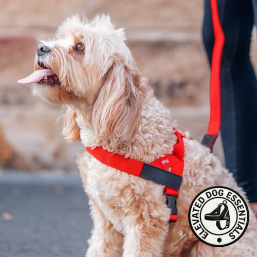 Image of Dog Friendly Co. Dog Harness for Small Dogs (Red, XXSmall)